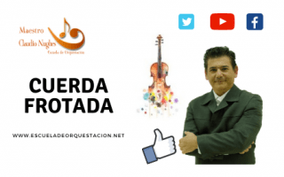 Orquestar para la familia de la cuerda frotada